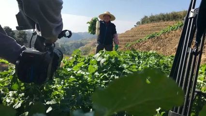 晉安區鵝鼻村 家門口的科普陣地培育現代新農人